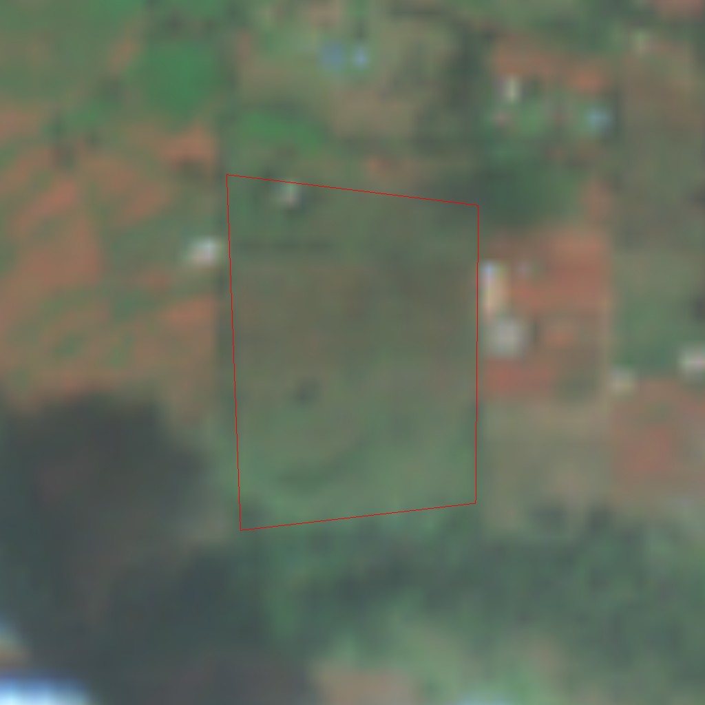 Satellite view of Kolobus Coffee farm
